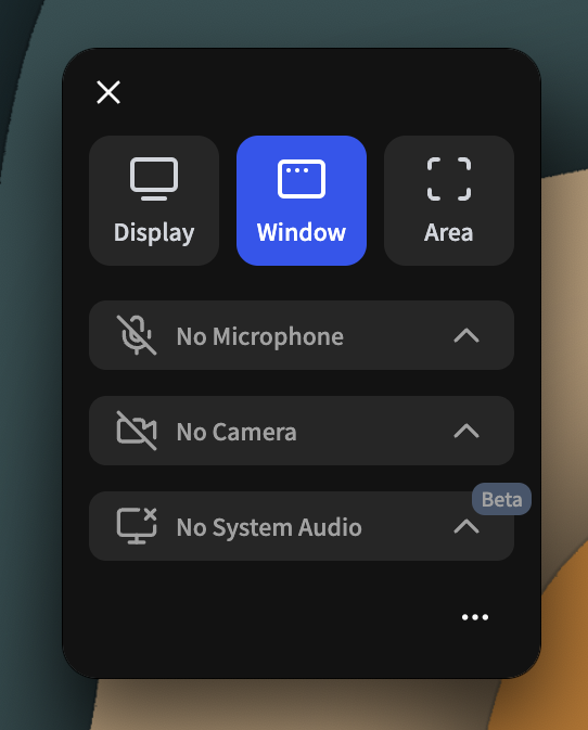 Recording the Entire Display